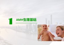 AMH检测临床应用PPT
