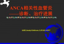 anca相关性血管炎ppt