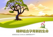 精卵结合孕育新的生命PPT