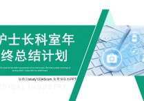 护士长科室年终总结计划PPT