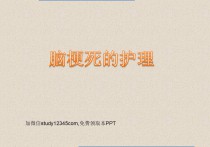脑梗死的护理PPT