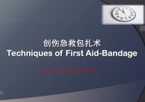 创伤急救包扎术PPT