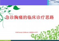 急诊胸痛的临床诊疗思路PPT