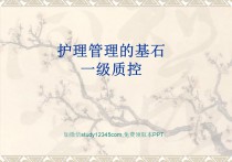 病区护理一级质控ppt