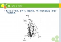 白细胞介素-6在儿科应用的临床意义PPT