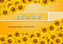 儿科电除颤PPT