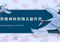 常用精神科药物及副作用PPT