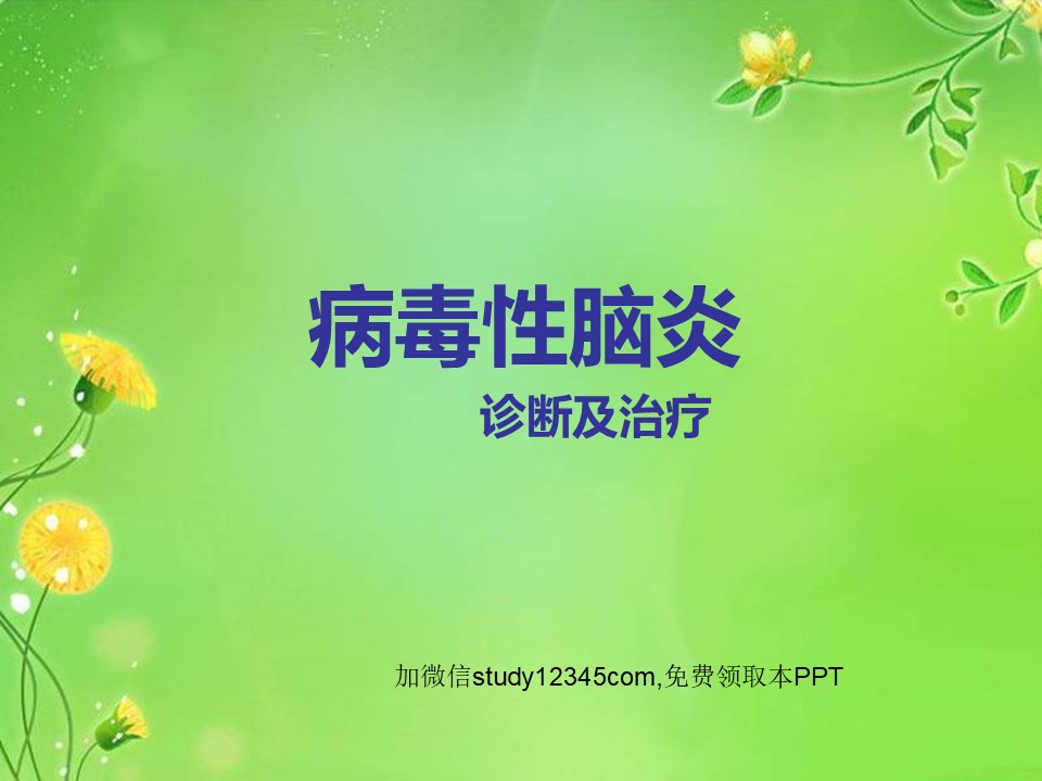 病毒性脑炎的诊断及治疗PPT
