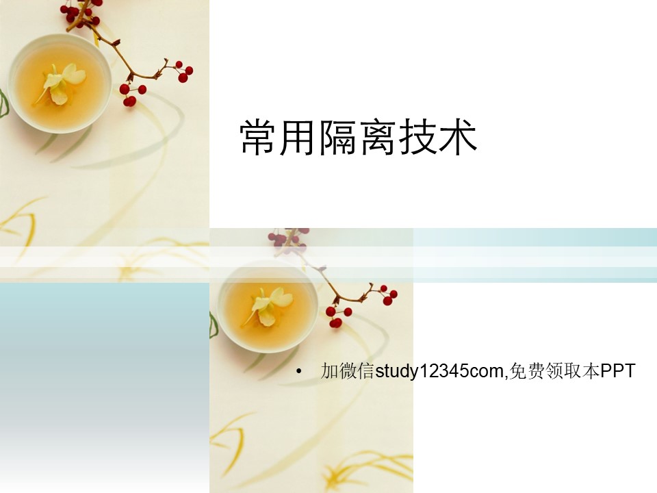常用隔离技术