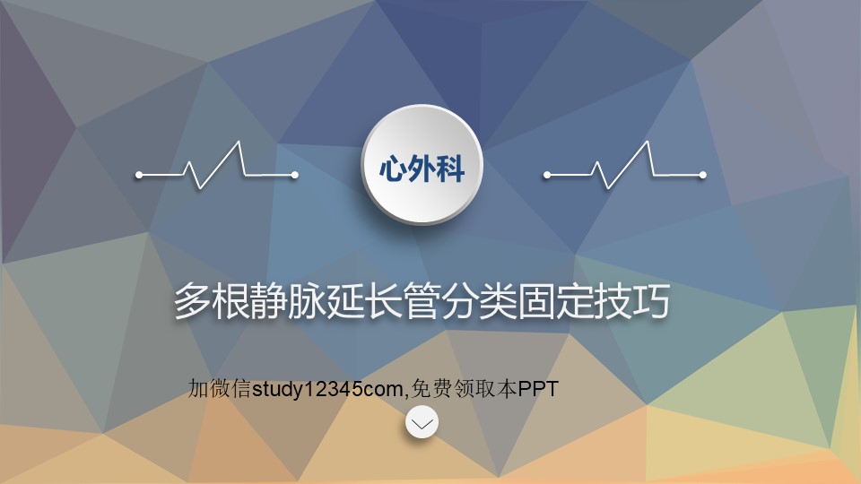 多根静脉延长管分类固定技巧