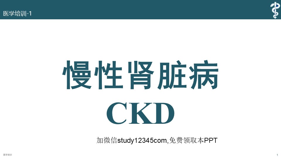 慢性肾脏病CKDPPT