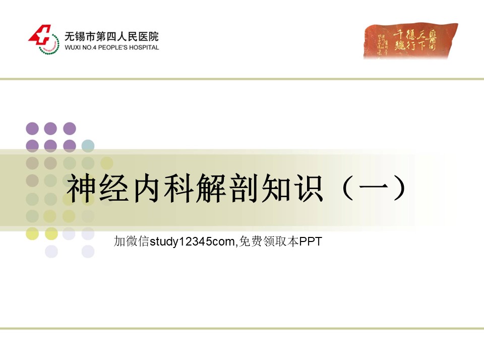 神经内科解剖知识PPT