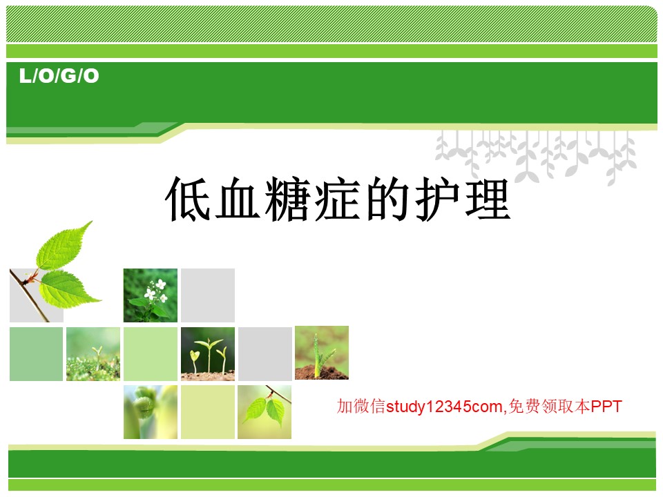 低血糖症的护理PPT