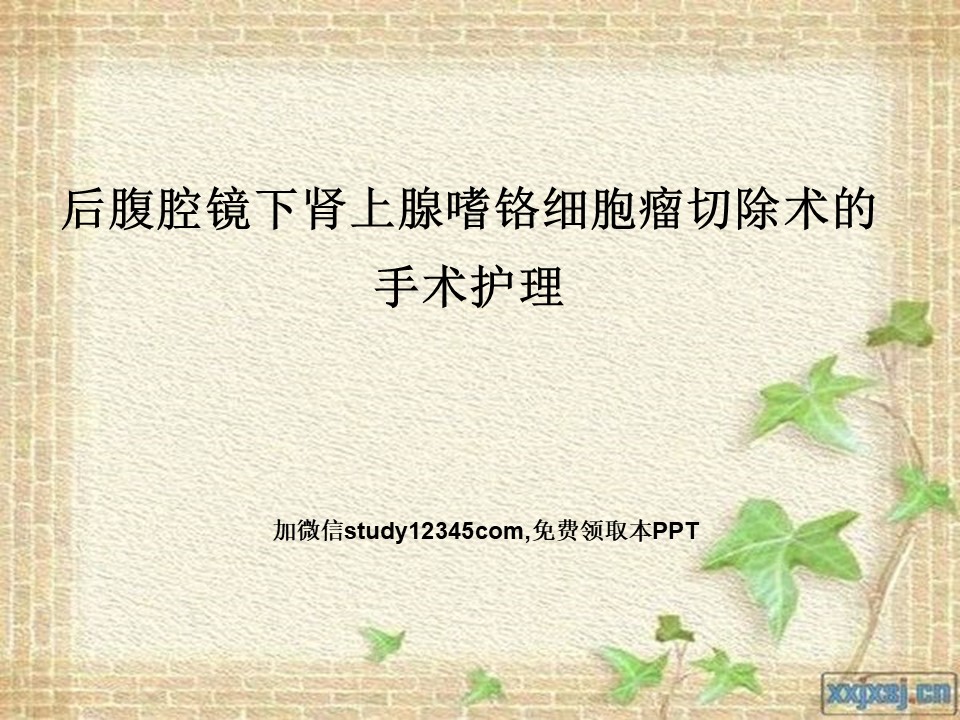 后腹腔镜下肾上腺嗜铬细胞瘤切除术的手术护理PPT