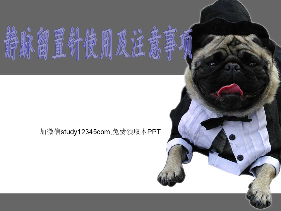 静脉留置针使用及注意事项PPT