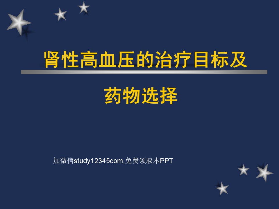肾性高血压的治疗药物PPT