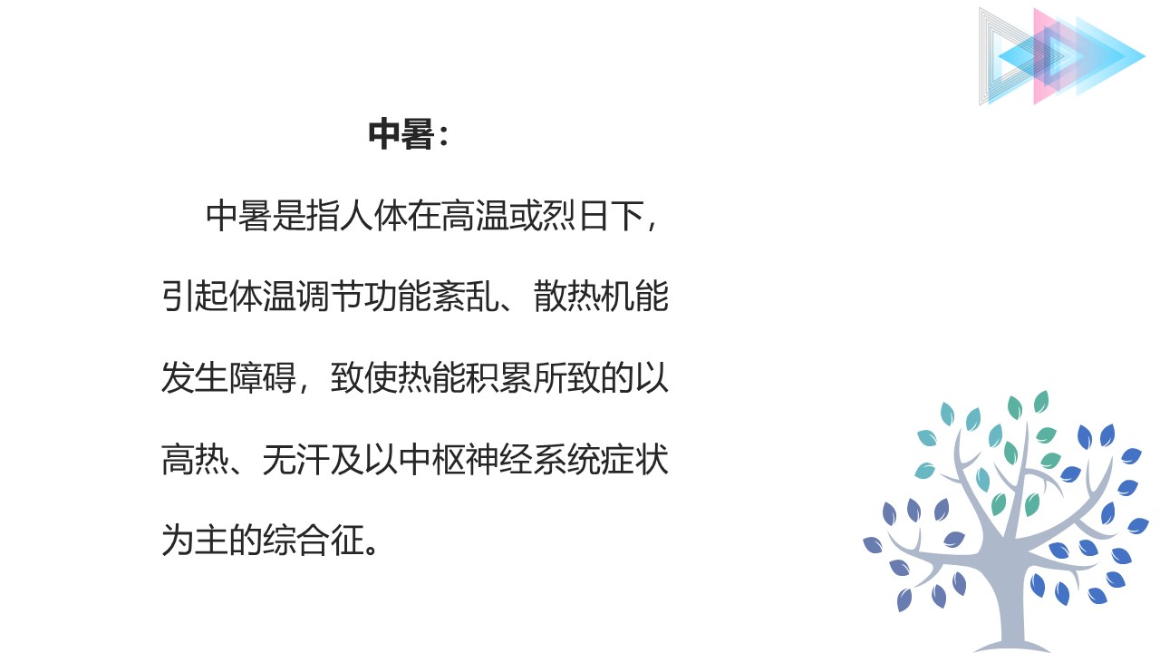 ，致使热能积累所致的以高热、无汗及以中枢神经系统症状为主的综合征。