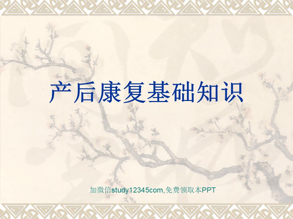 产后康复基础知识PPT