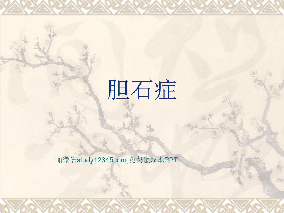 胆石症PPT