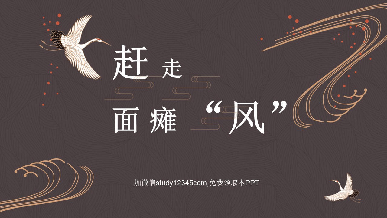 赶走面瘫风PPT