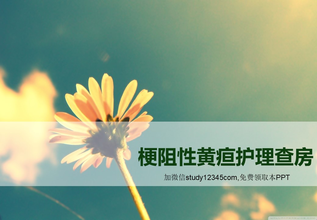 梗阻性黄疸护理查房PPT