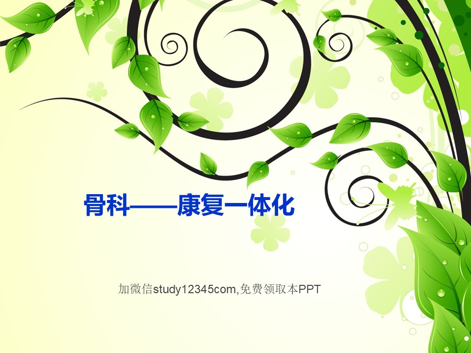 骨科康复一体化PPT