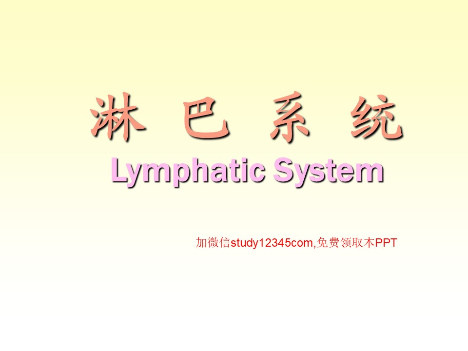 解剖之淋巴系统PPT
