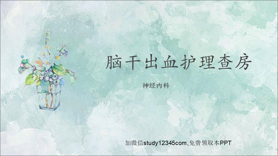 脑干出血护理查房PPT