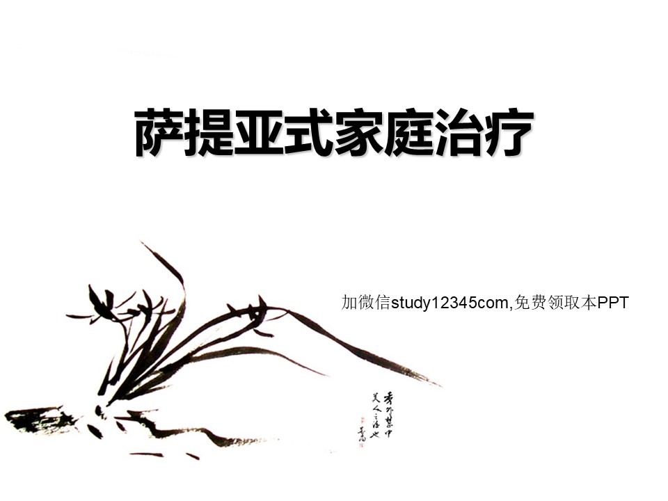 萨提亚式家庭治疗PPT