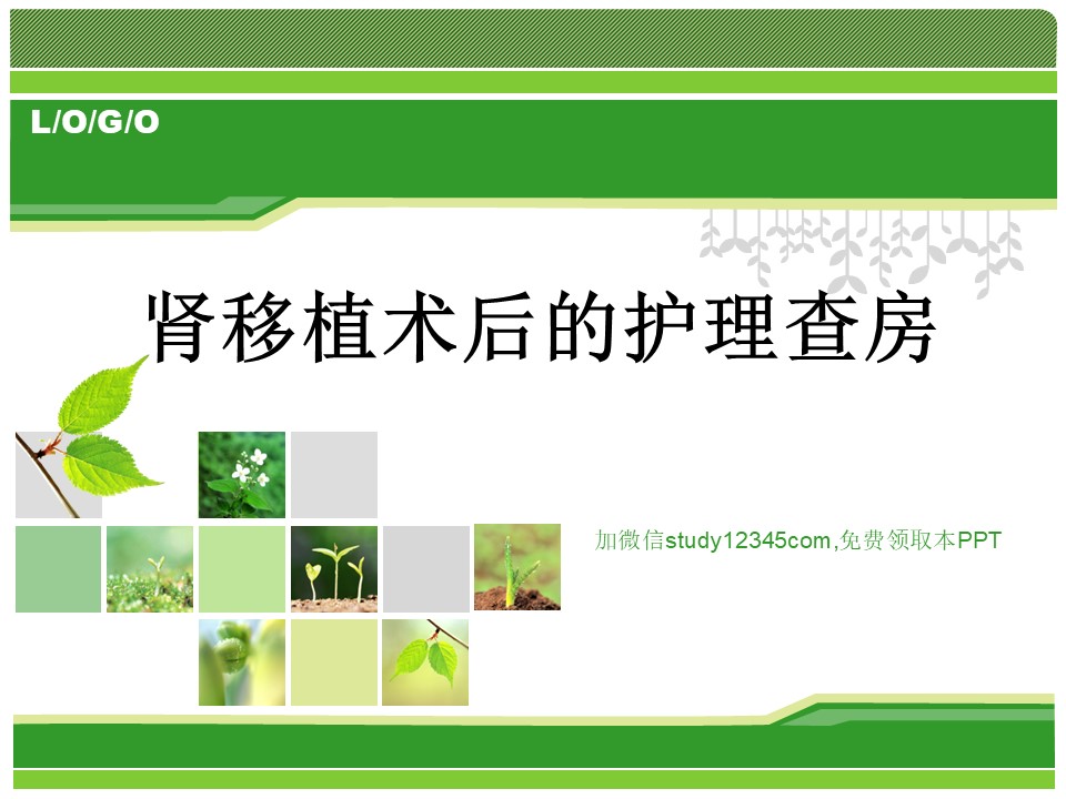 肾移植术后的护理查房PPT