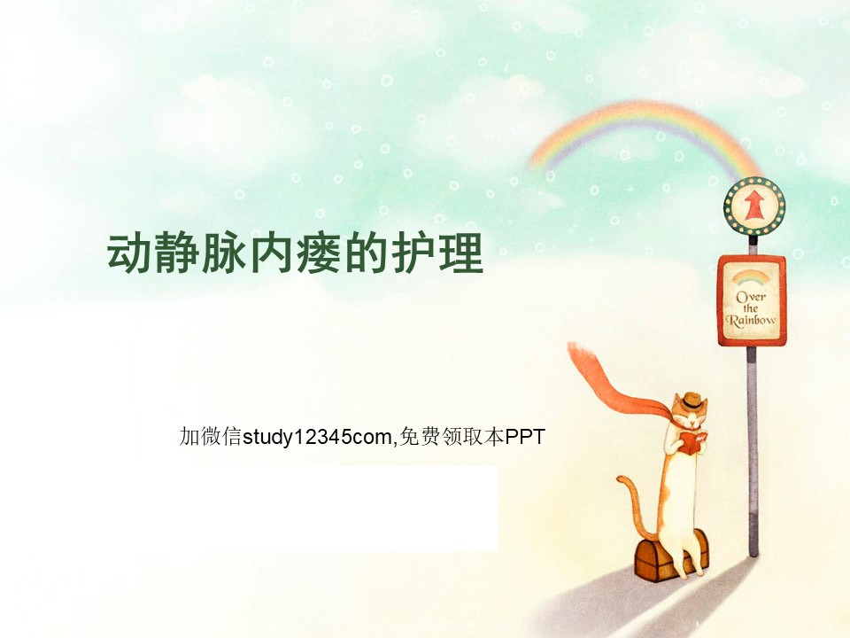 血透病人动静脉内瘘的护理ppt