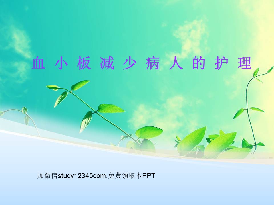 血小板减少病人的护理PPT