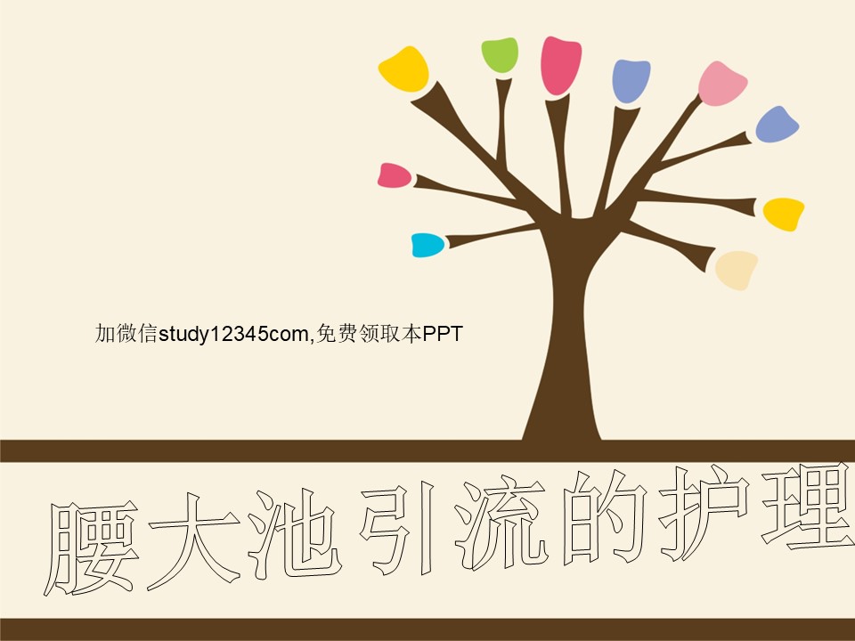 腰大池引流的护理PPT