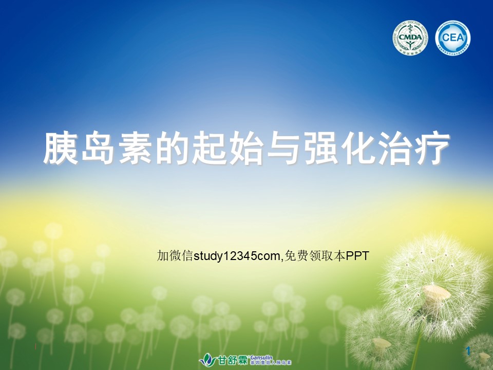 胰岛素的起始与强化治疗PPT