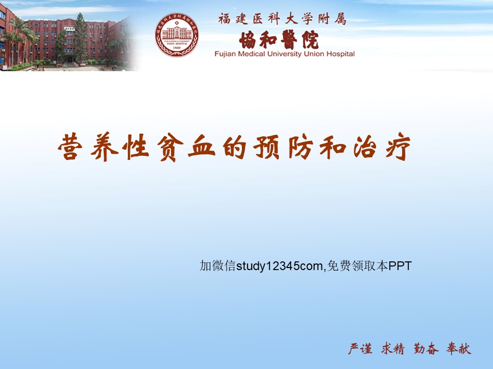营养性贫血的预防和治疗PPT