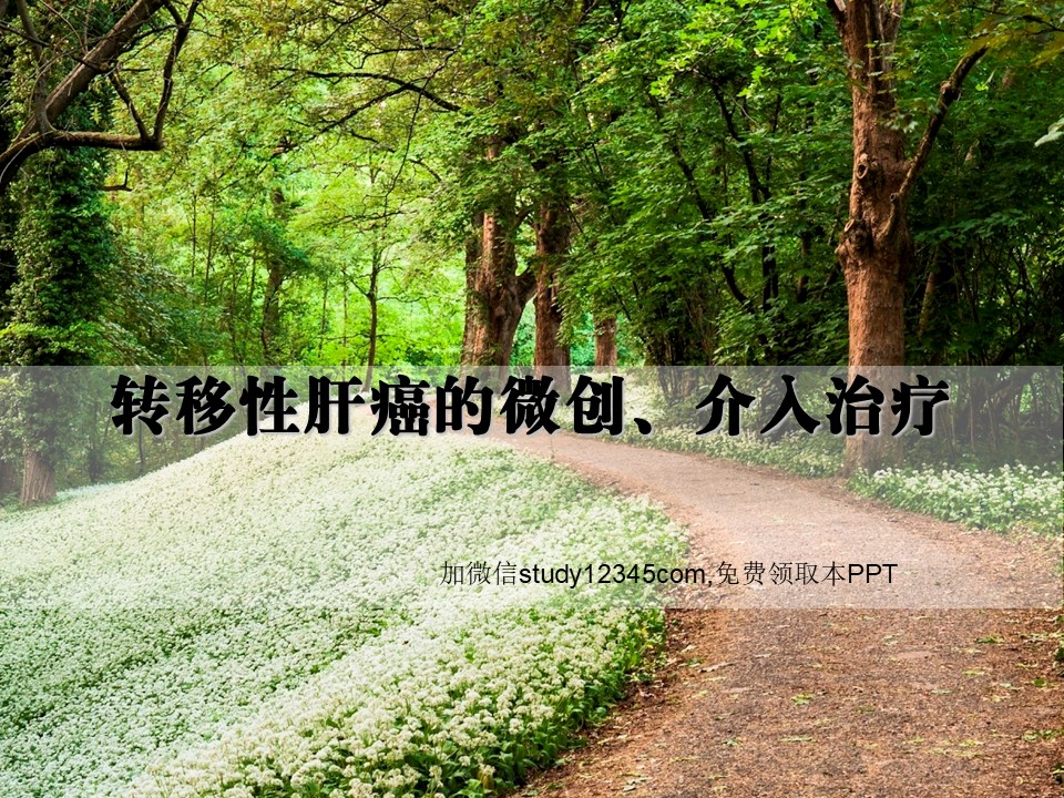 转移性肝癌的微创、介入治疗PPT