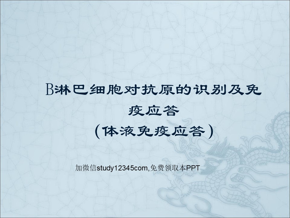 B淋巴细胞对抗原的识别及免疫应答PPT