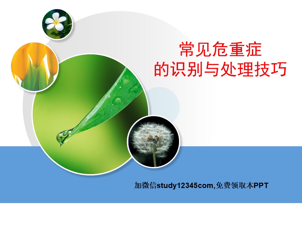 常见危重症的识别与处理技巧PPT