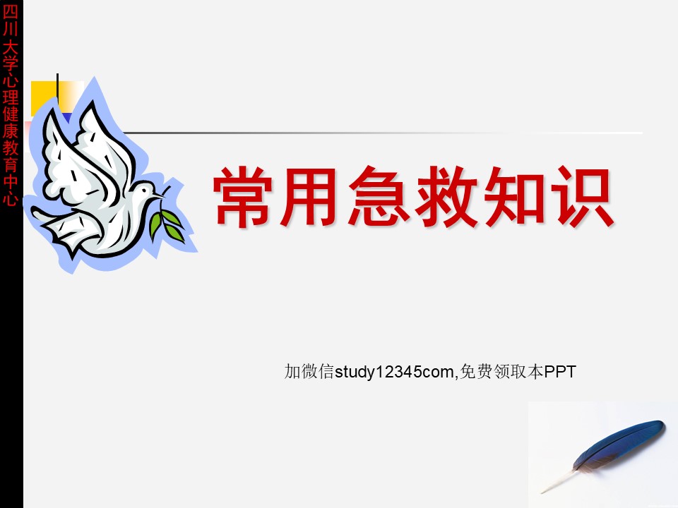 常用急救知识PPT