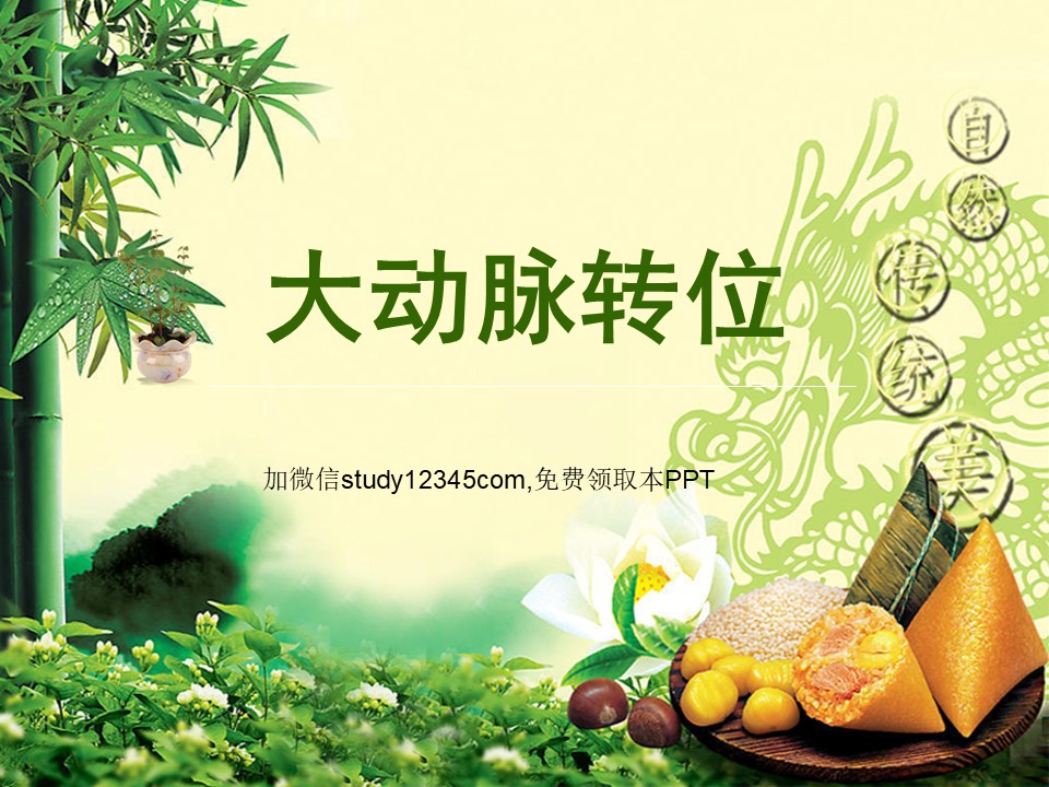 大动脉转位PPT