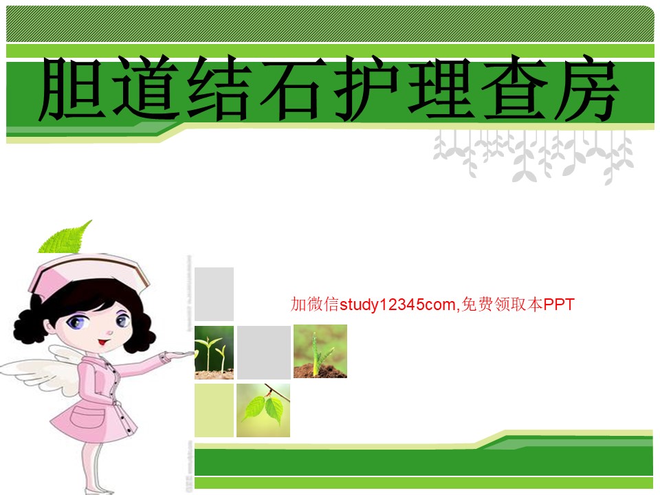 胆道结石护理查房PPT