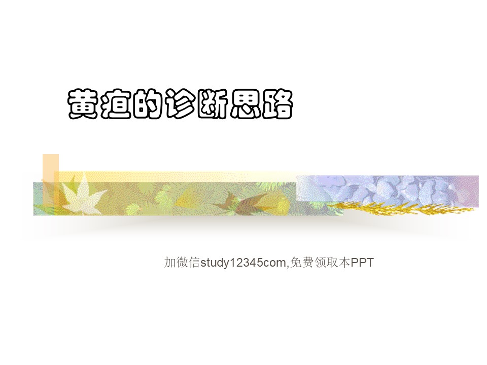黄疸的诊断思路PPT