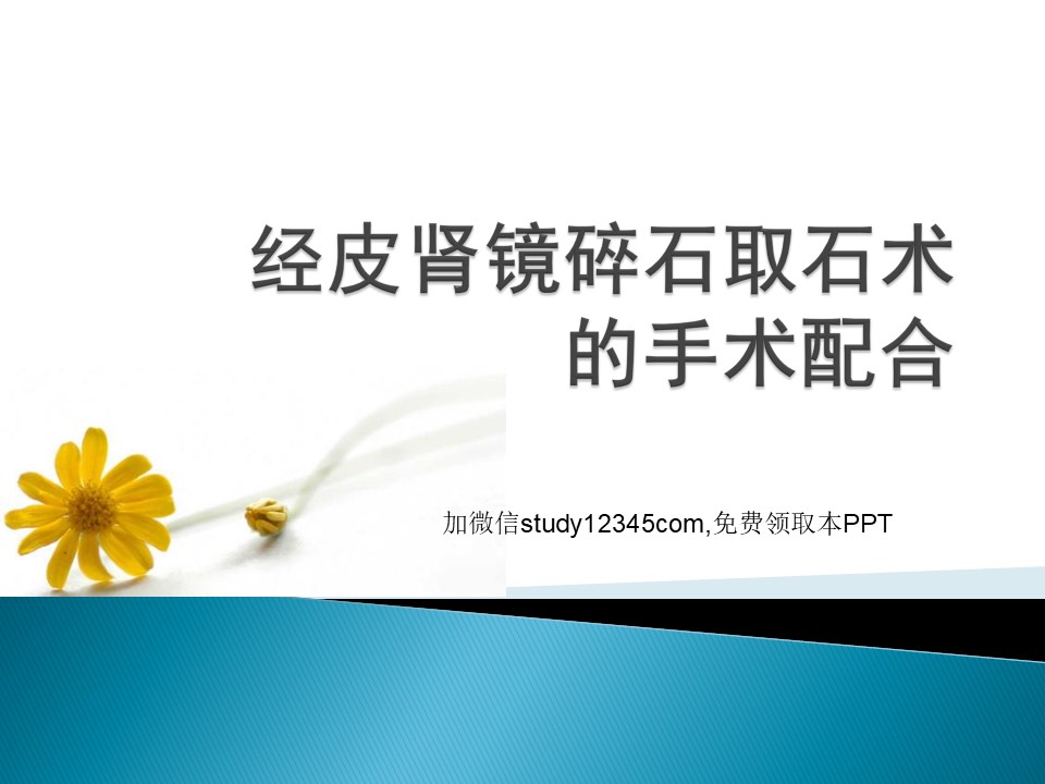 经皮肾镜碎石取石术的手术配合PPT