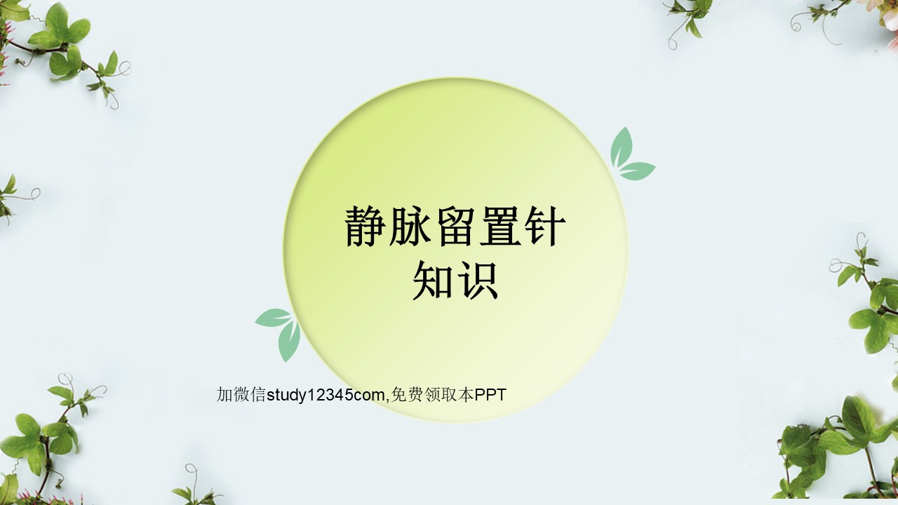 静脉留置针知识PPT