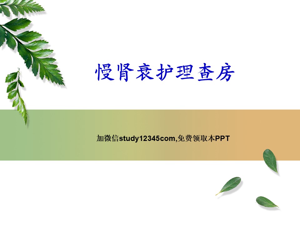 慢肾衰护理查房PPT