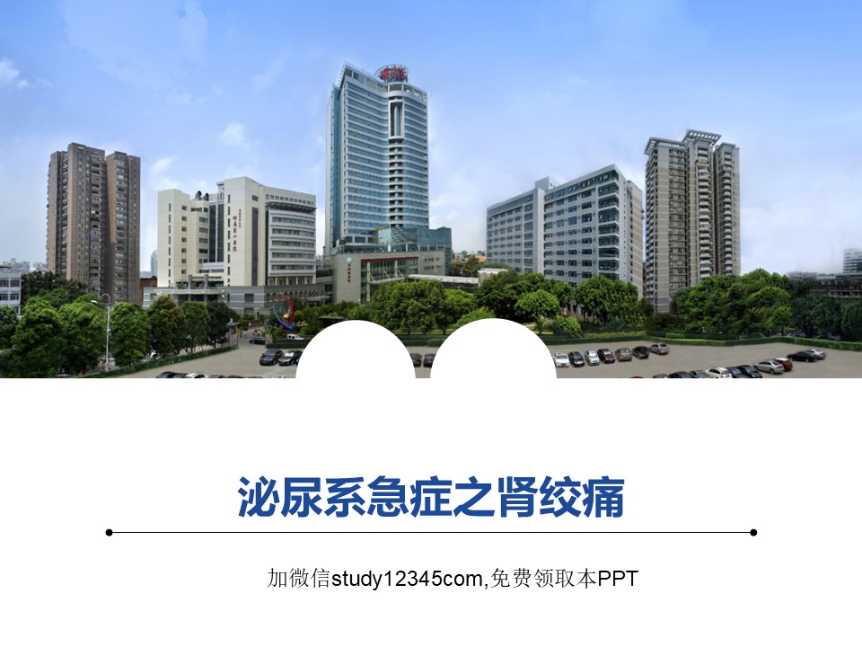 泌尿系急症之肾绞痛PPT