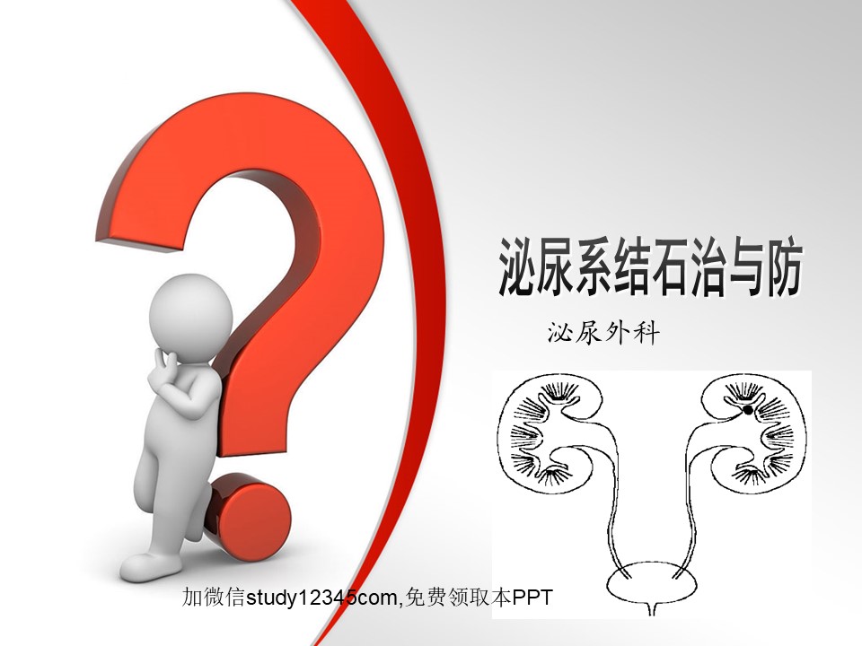 泌尿系结石治与防PPT