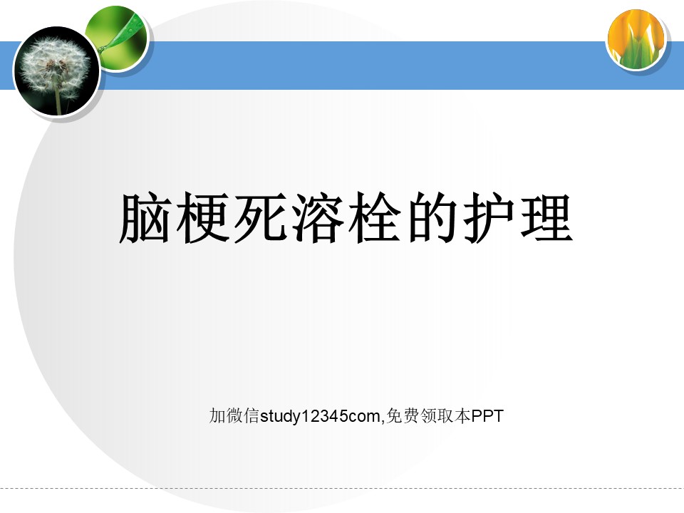 脑梗死溶栓的护理PPT