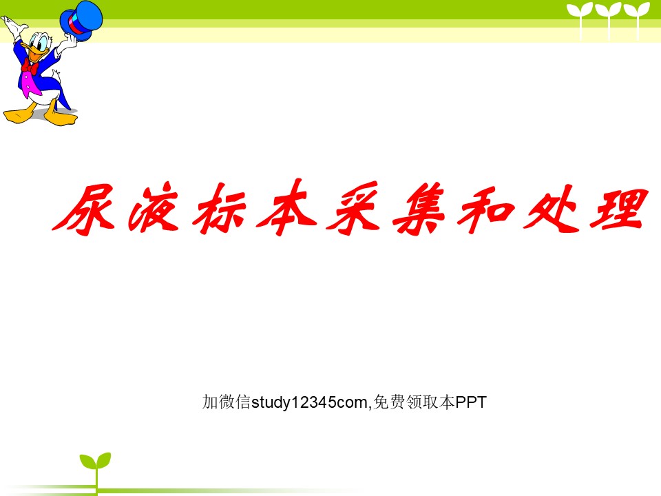 尿液标本采集和处理PPT