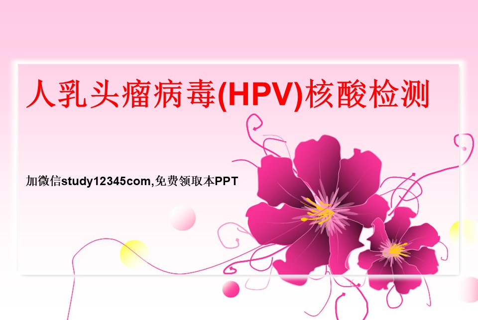 人乳头瘤病毒HPV核酸检测PPT
